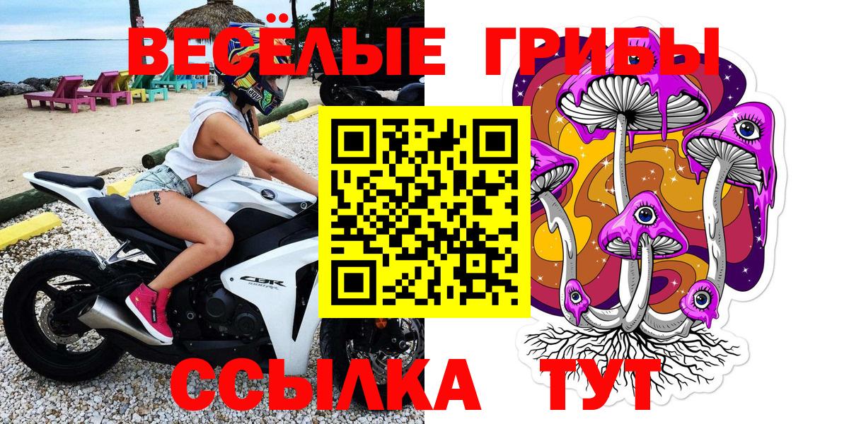 Псилоцибиновые грибы GOLDEN TEACHER  Вход с VPN  Озёрск 